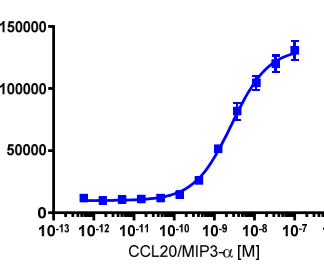 Cells were plated in a 96-well plate and stimulated with a control agonist, using the assay conditions described below. Following stimulation, signal was detected according to the recommended protocol.