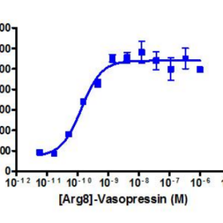 Cells were plated in a 96-well plate and stimulated with a control agonist (+ Forskolin for Gi targets), using the assay conditions described below. Following stimulation, signal was detected according to the recommended protocol.